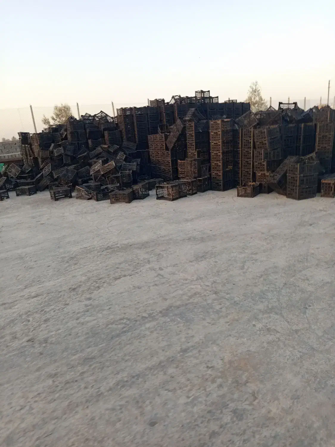 5000جعبه ترباری|فروشگاه و مغازه|مروست, |دیوار