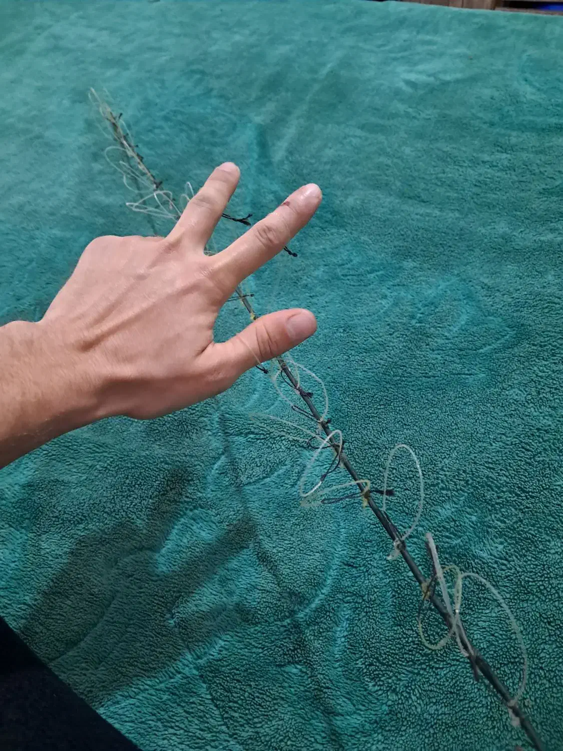 فروش تله برای صید پرندگان مورد علاقه|لوازم جانبی حیوانات|لاهیجان, گلستان|دیوار