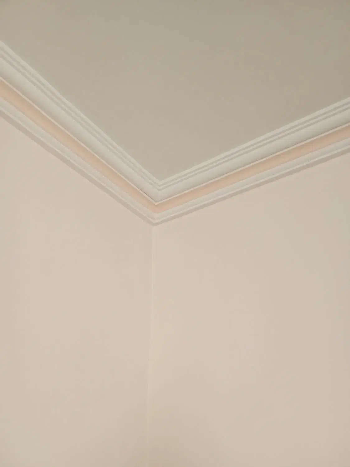 گچکاری ساختمان پذیرفته میشود|خدمات پیشه و مهارت|نیشابور, بزرگمهر|دیوار