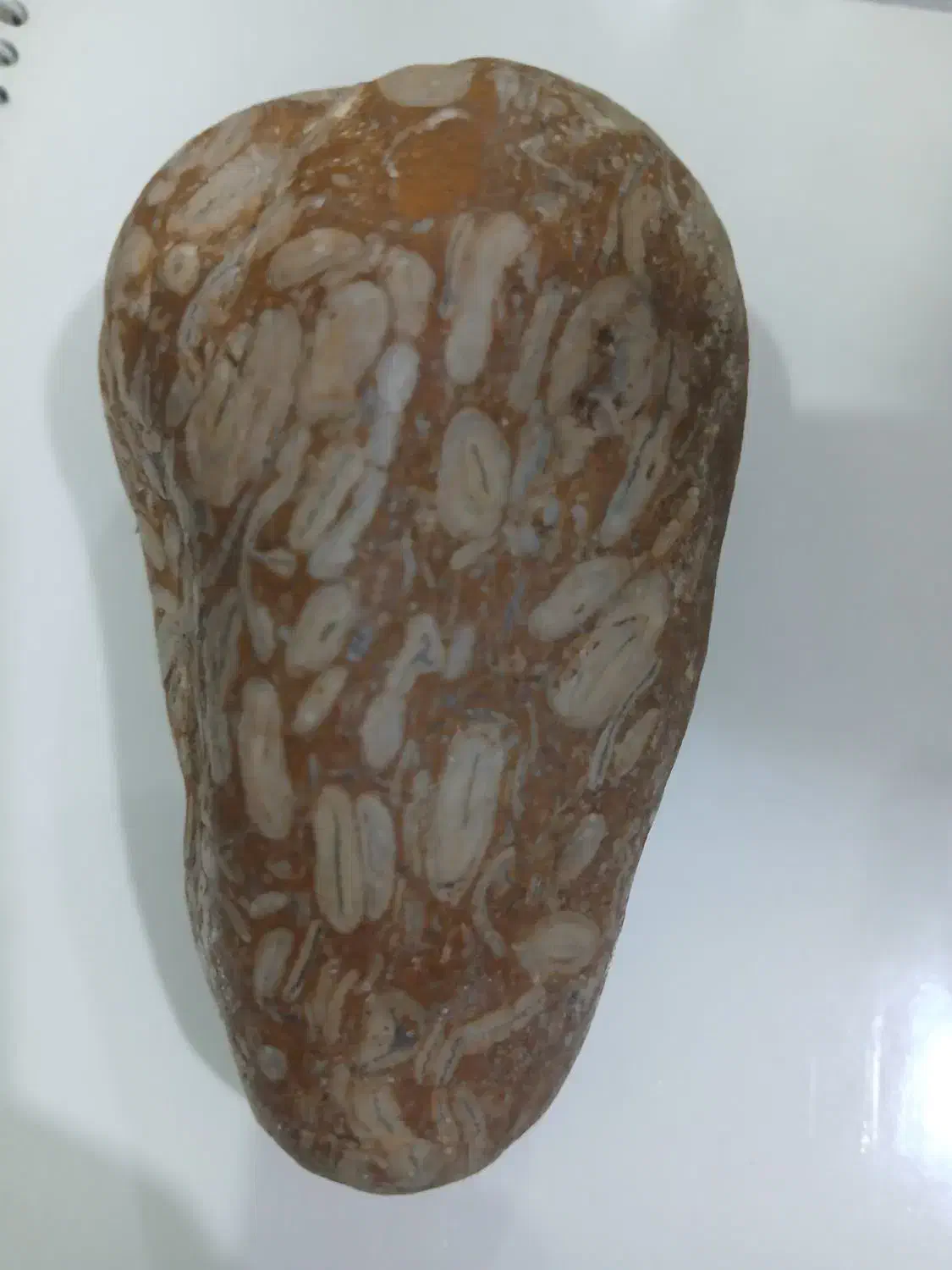 سنگ خاص|کلکسیون اشیاء عتیقه|آزادشهر, |دیوار