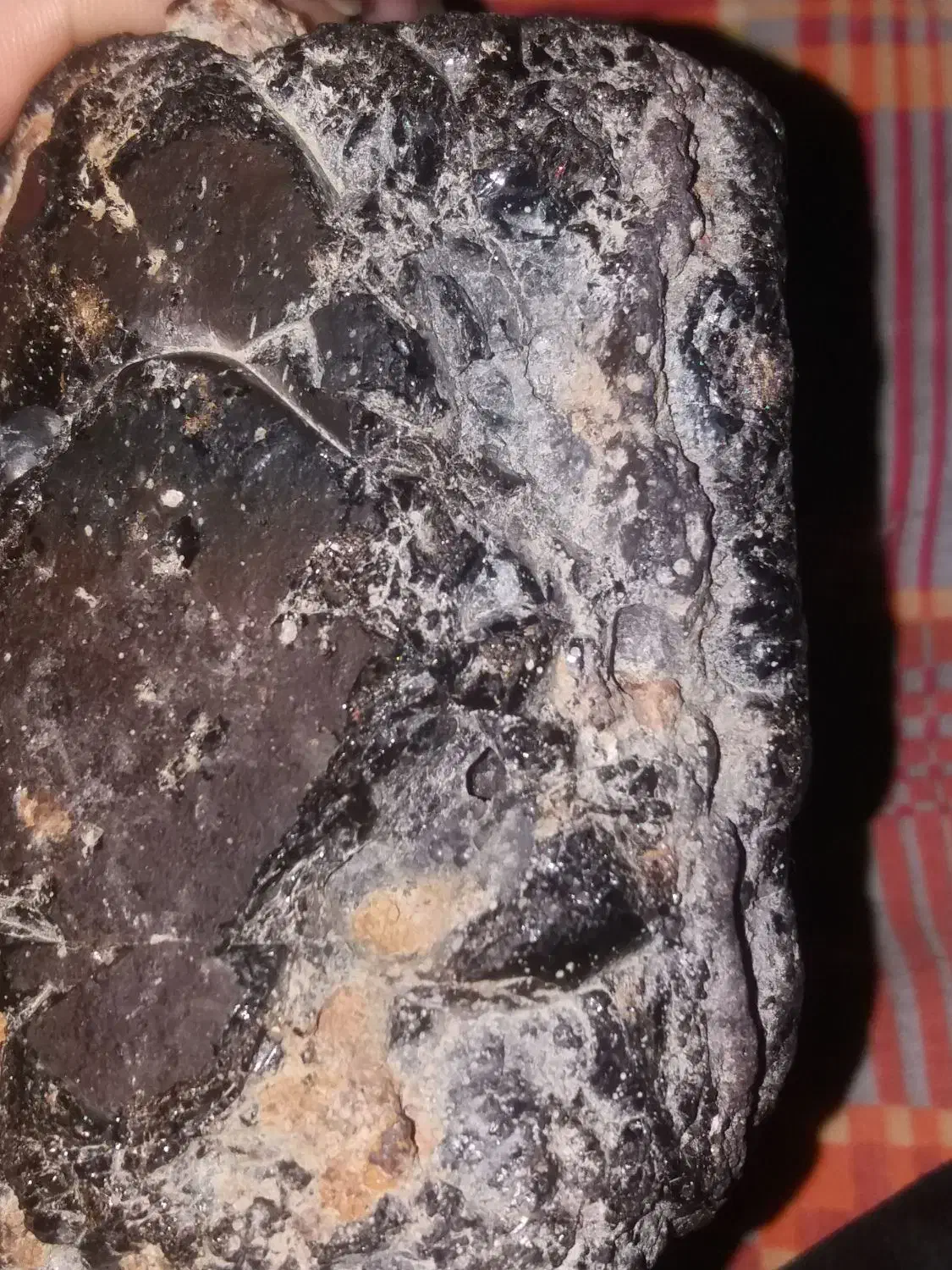 َشهاب سنگ|کلکسیون اشیاء عتیقه|گلبهار, شهر جدید گلبهار|دیوار