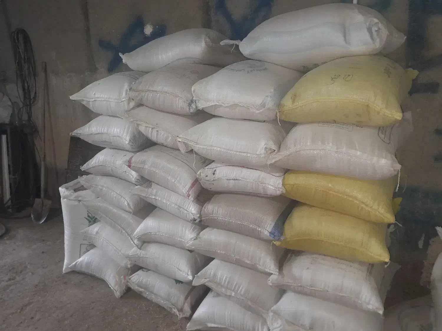 جو محلی|لوازم جانبی حیوانات|خواجه, |دیوار