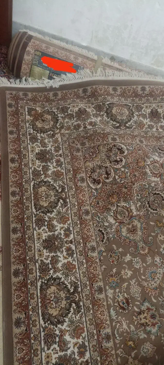 فرش|فرش|زاهدان, |دیوار