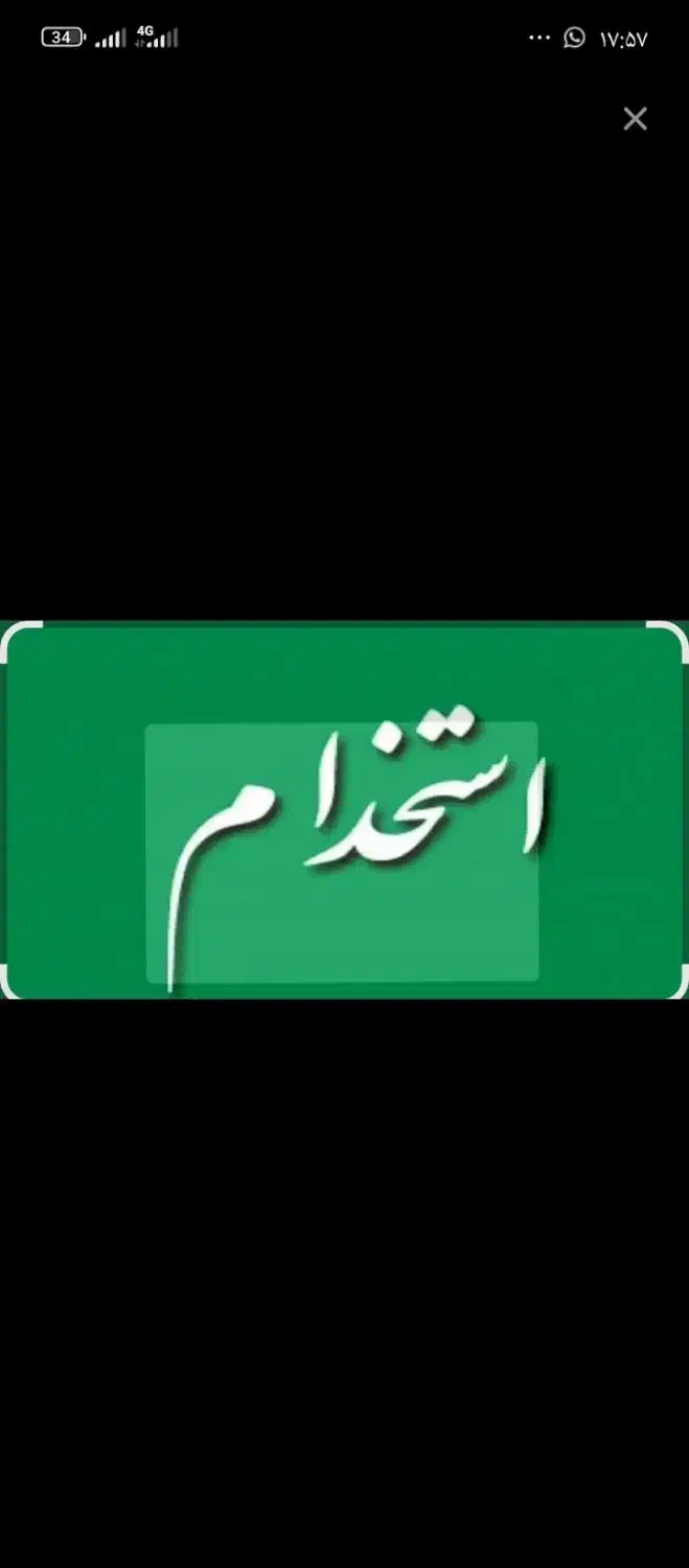 زیتون چینی|خدمات باغبانی و درختکاری|منجیل, |دیوار