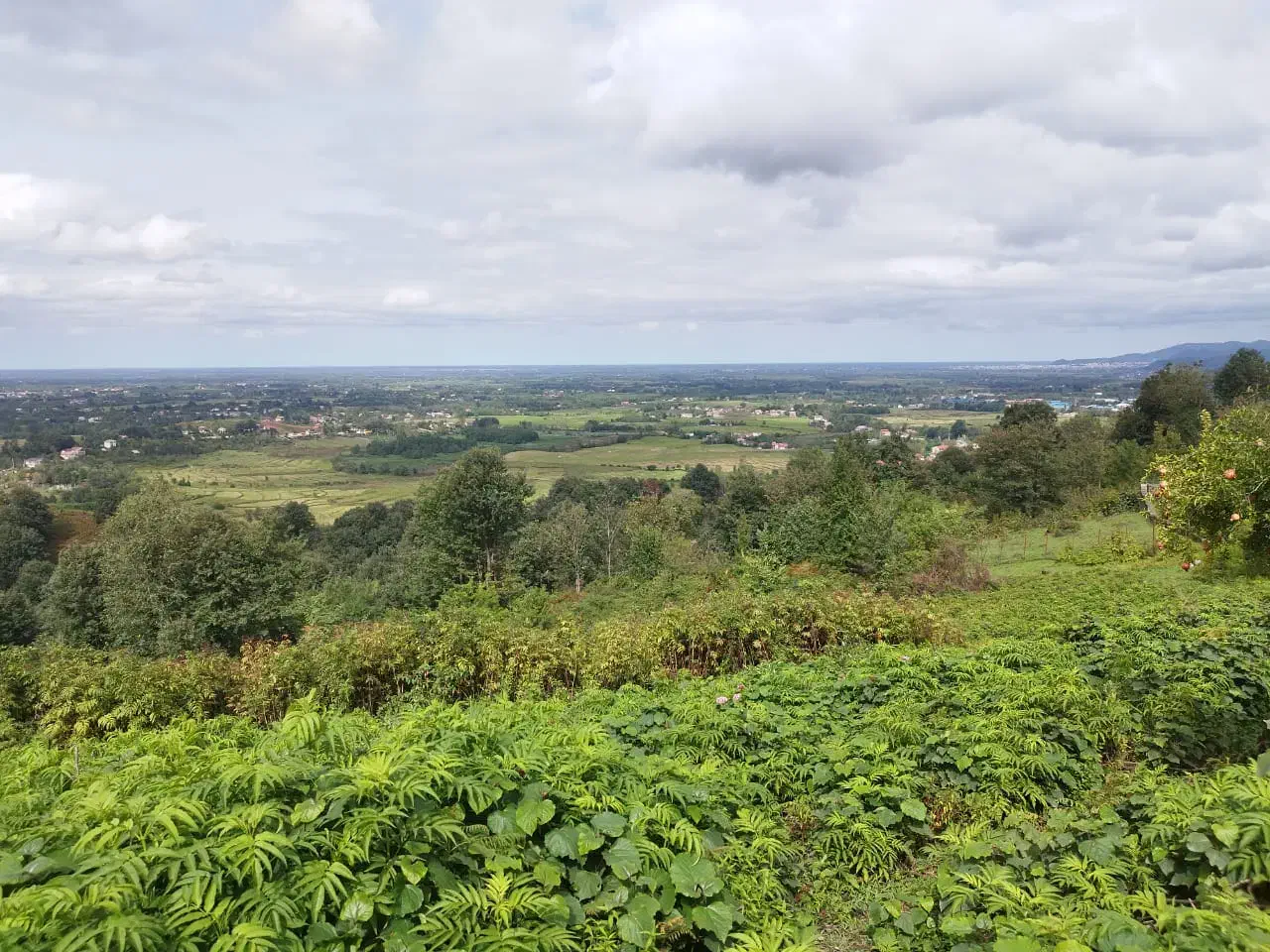 زمین مناسب بوم گردی در گیلان|فروش زمین و ملک کلنگی|لاهیجان, آهندان|دیوار