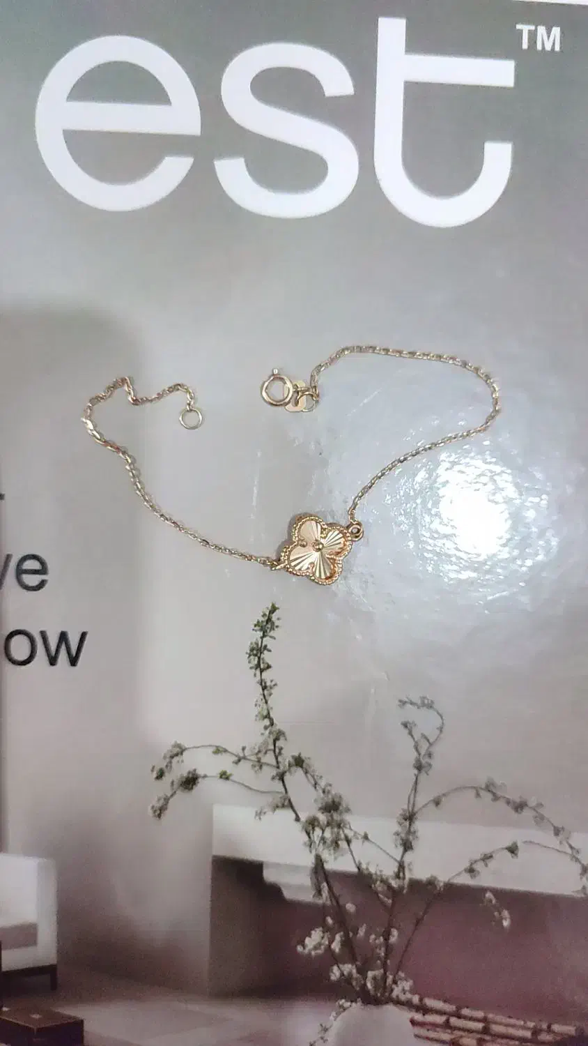 دستبند ونکلیف|جواهرات|اصفهان, بوستان کوهستانی صفه|دیوار