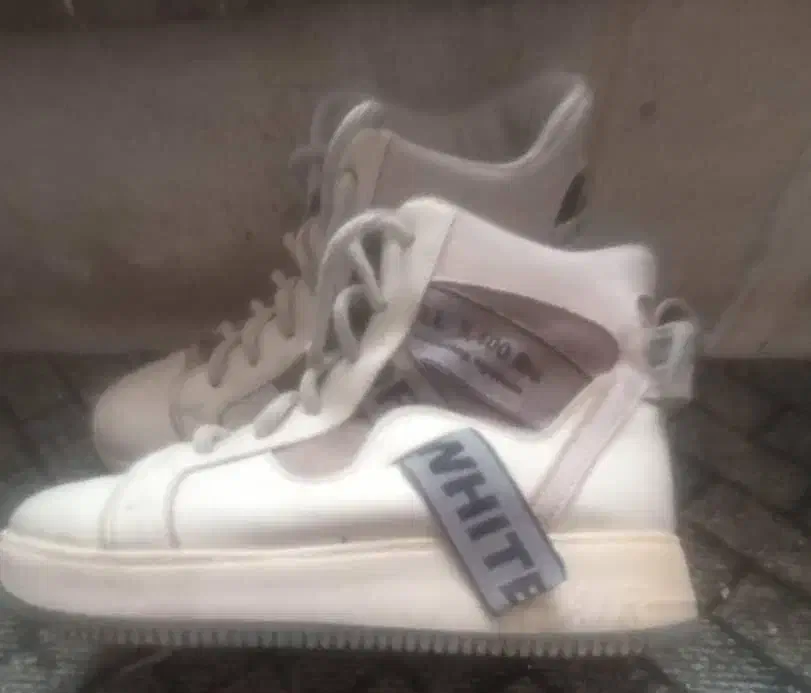 کتونی|کیف، کفش، کمربند|بروجرد, |دیوار