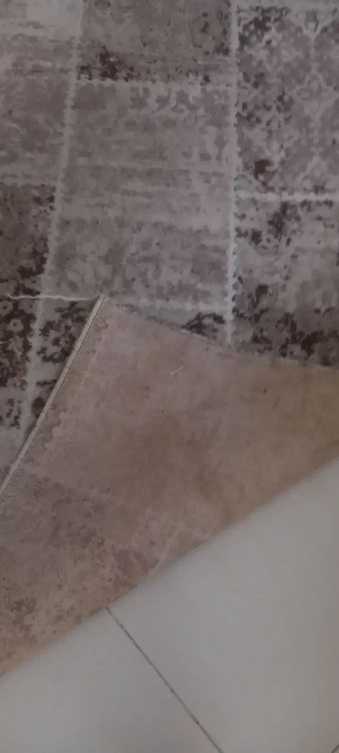 فرش کناره|فرش|تهران, زنجان جنوبی|دیوار