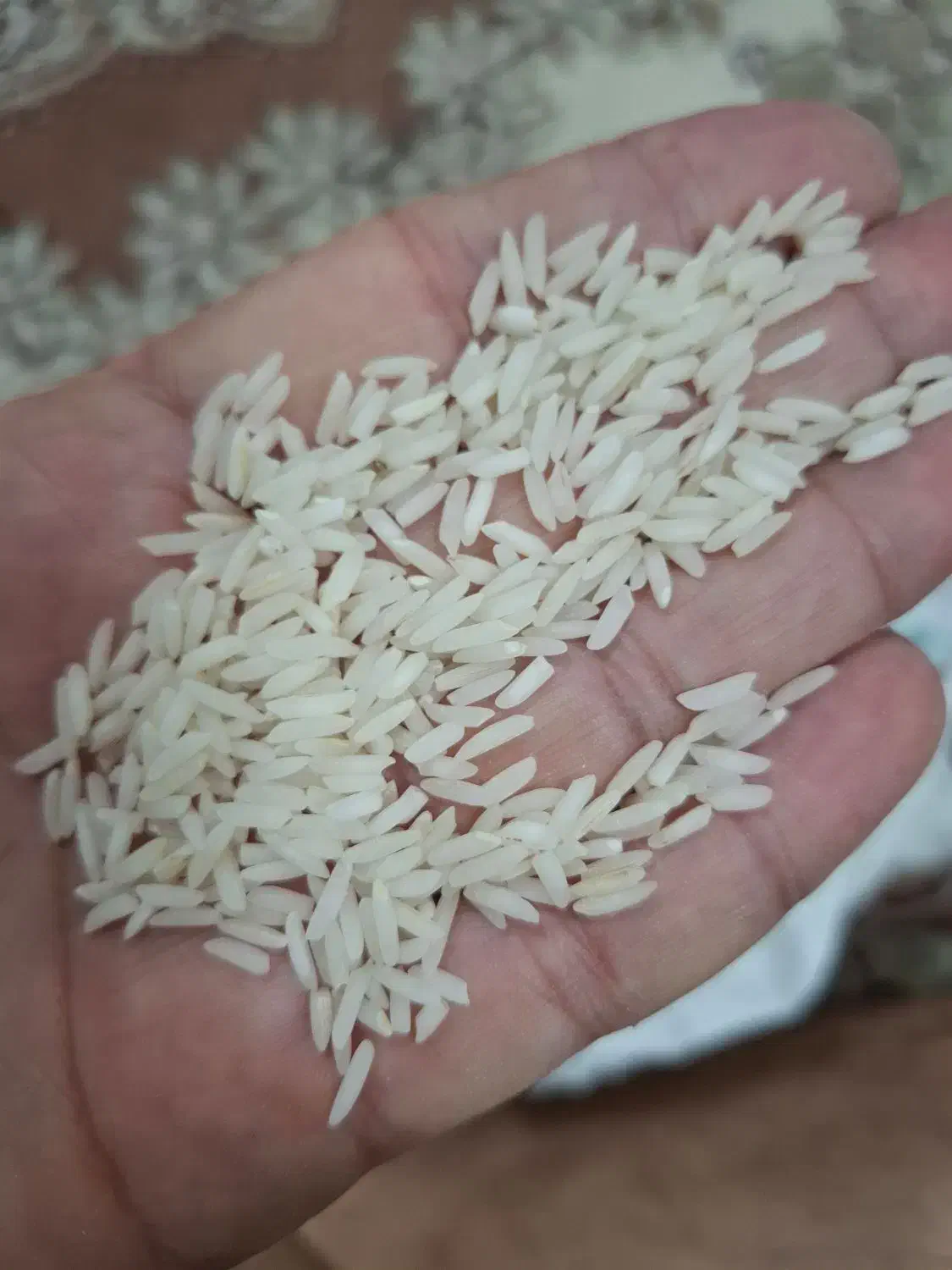 برنج هاشمی درجه یک ممتاز سورتینگ زده|خوردنی و آشامیدنی|آستانه اشرفیه, |دیوار