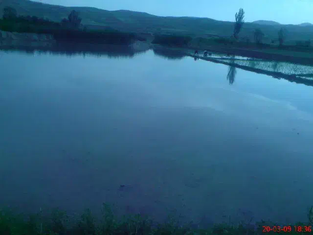 اجاره زمین شالیزار روستای حصار قرانقو|اجارهٔ دفتر صنعتی، کشاورزی، تجاری|میانه, |دیوار