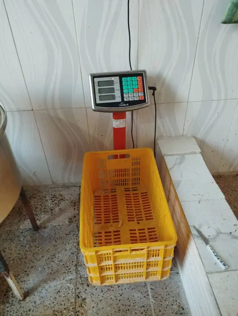 وسایل مرغ فروشی|فروشگاه و مغازه|ایلام, |دیوار