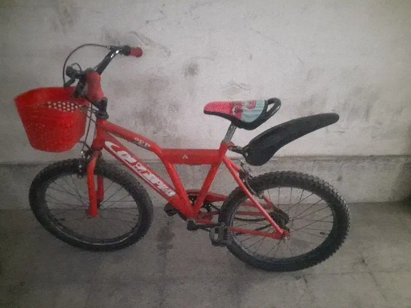 دوچرخه دخترانه|دوچرخه، اسکیت، اسکوتر|ارومیه, |دیوار