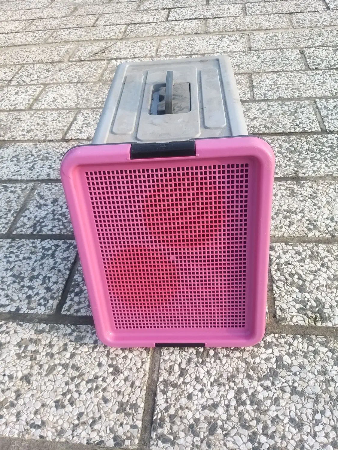 باکس حمل سگ|لوازم جانبی حیوانات|رشت, حاجی آباد|دیوار