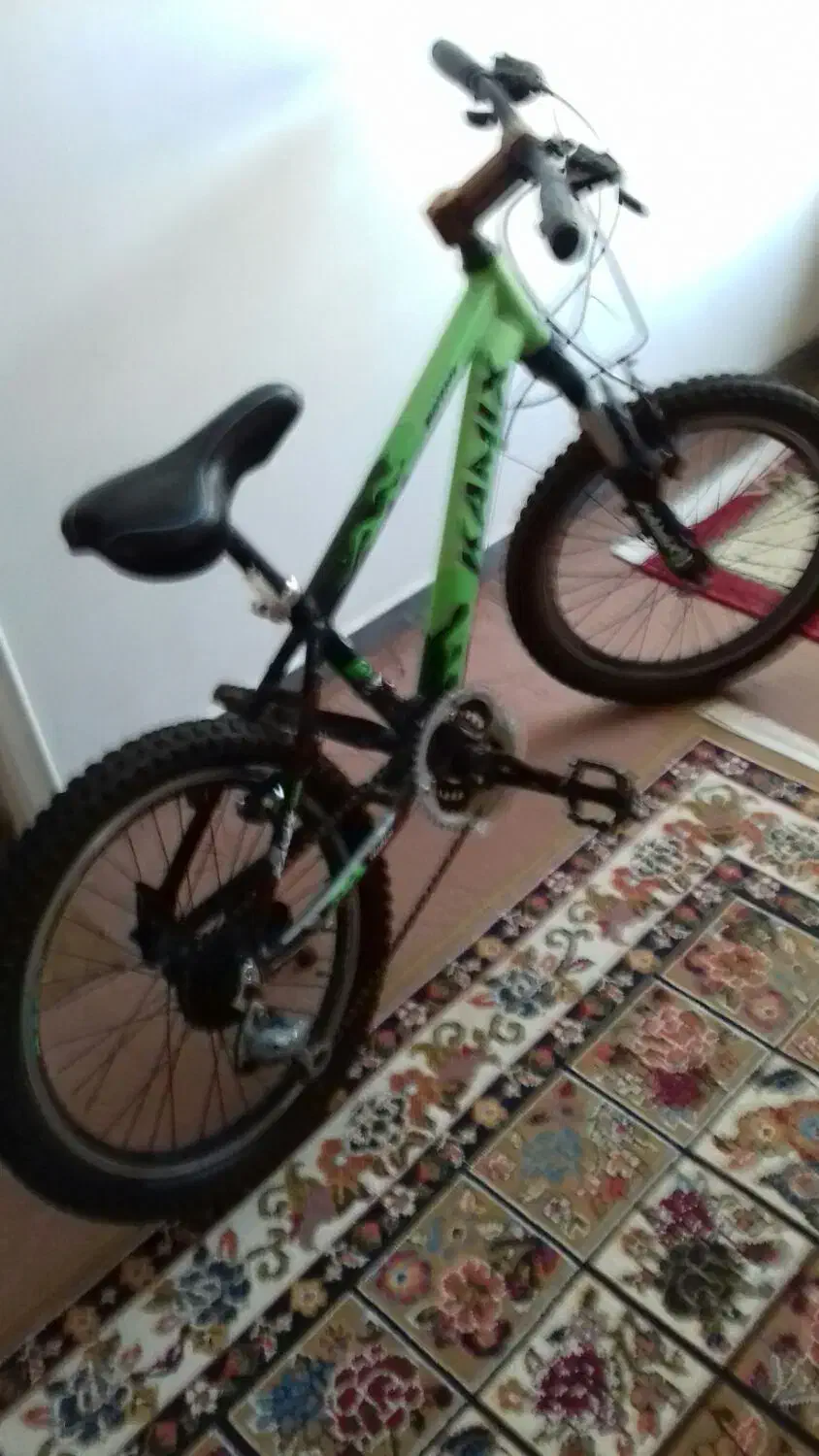 دوچرخه|دوچرخه، اسکیت، اسکوتر|دوگنبدان, |دیوار