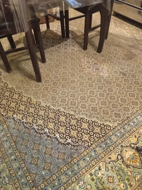 فرش|فرش|مشهد, کوثر|دیوار