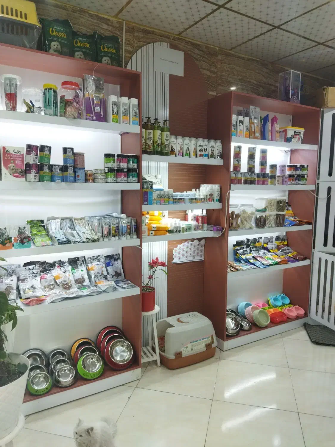 فروش کلی لوازم پت شاپ با دلار صدتومن.فقط کلی|لوازم جانبی حیوانات|چهاردانگه (تهران), |دیوار