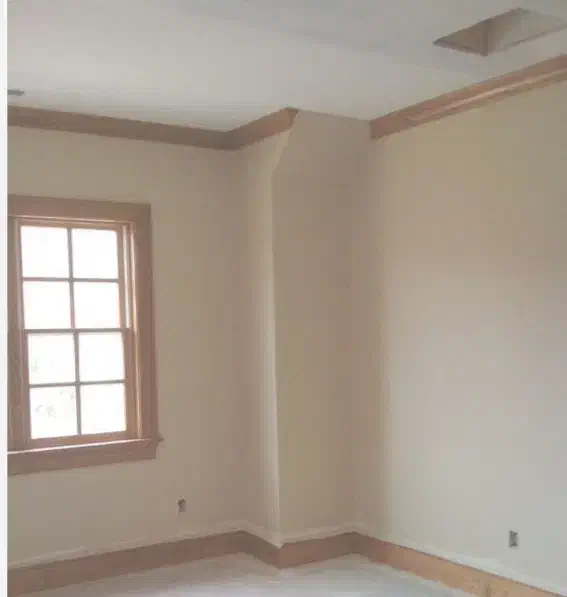 نقاشی ساختمان تعمیرات تزئینات|خدمات پیشه و مهارت|تربتحیدریه, باغ سلطانی|دیوار