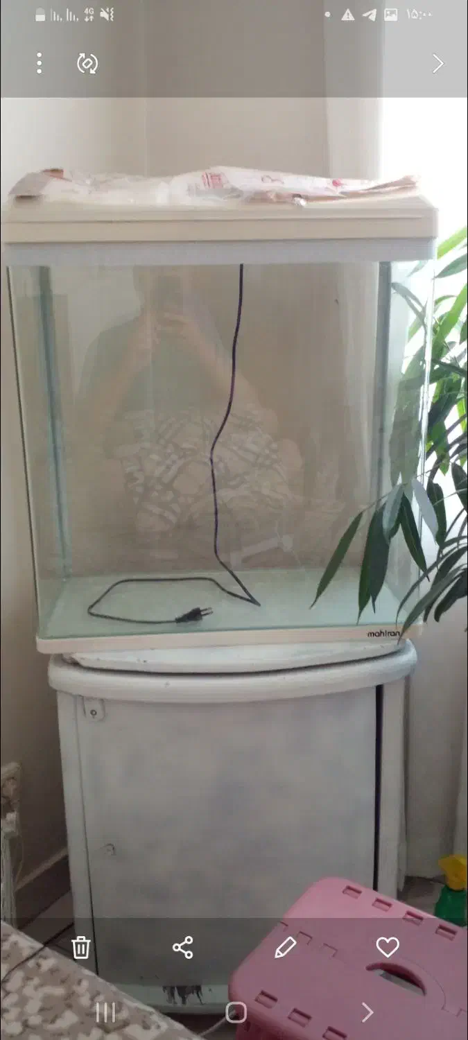 آکواریوم ماهیران|ماهی|تهران, مشیریه|دیوار