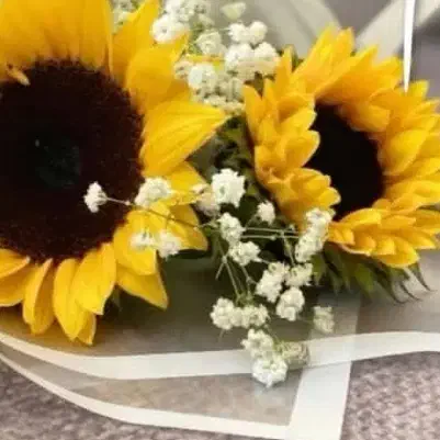 مغازه لباس زنانه|لباس|نجفآباد, رجایی شمالی|دیوار