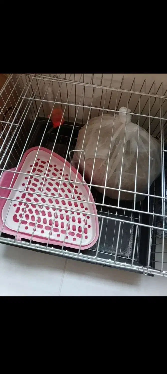 قفس خرگوش با لوازم|لوازم جانبی حیوانات|پرند, فاز ۶|دیوار