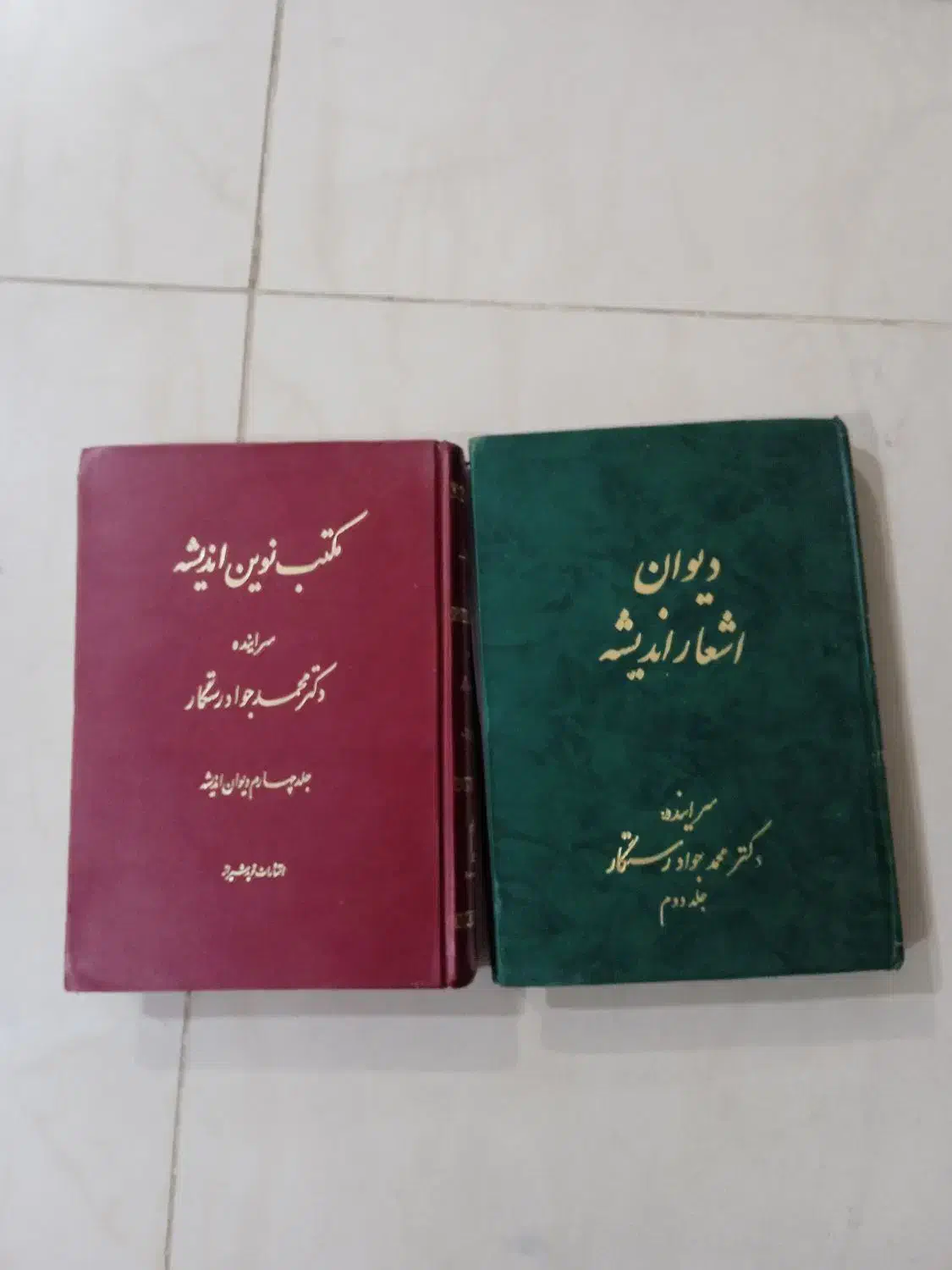 فروش دو جلد کتاب ادبی|کتاب و مجله ادبی|صدرا-فارس, فاز ۱|دیوار