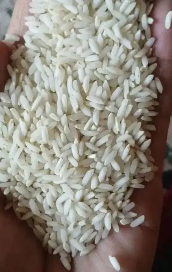 برنج عنبربو دیره|خوردنی و آشامیدنی|سرپل ذهاب, |دیوار