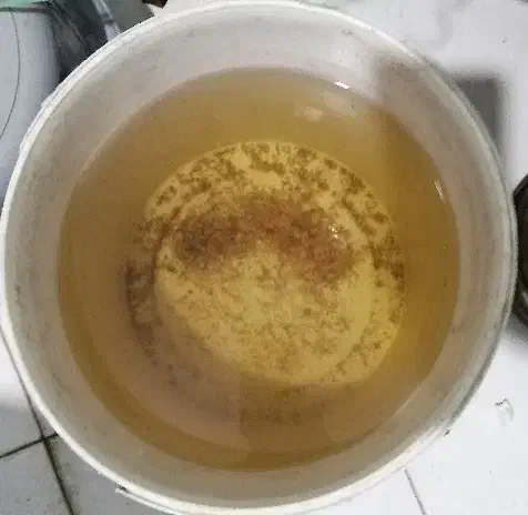 کود طبیعی برای گیاهان|گل و گیاه طبیعی|مشهد, کلاته برفی|دیوار