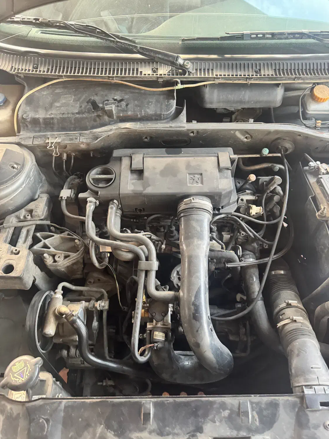 پژو پارس عروسک ۸۸|خودرو سواری و وانت|نشتارود, |دیوار