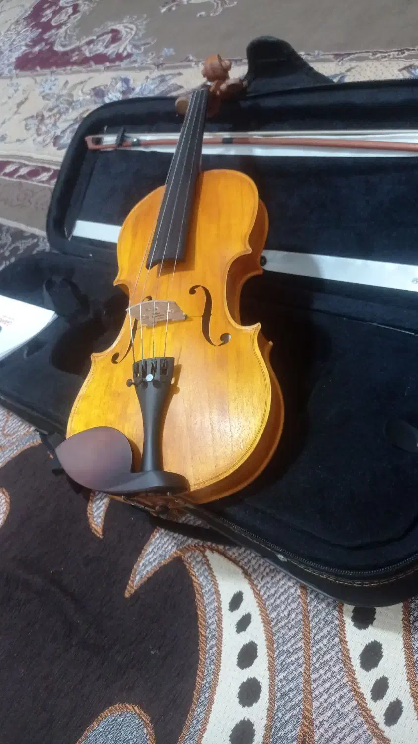 ویالون|ویولن|کوه چنار, |دیوار