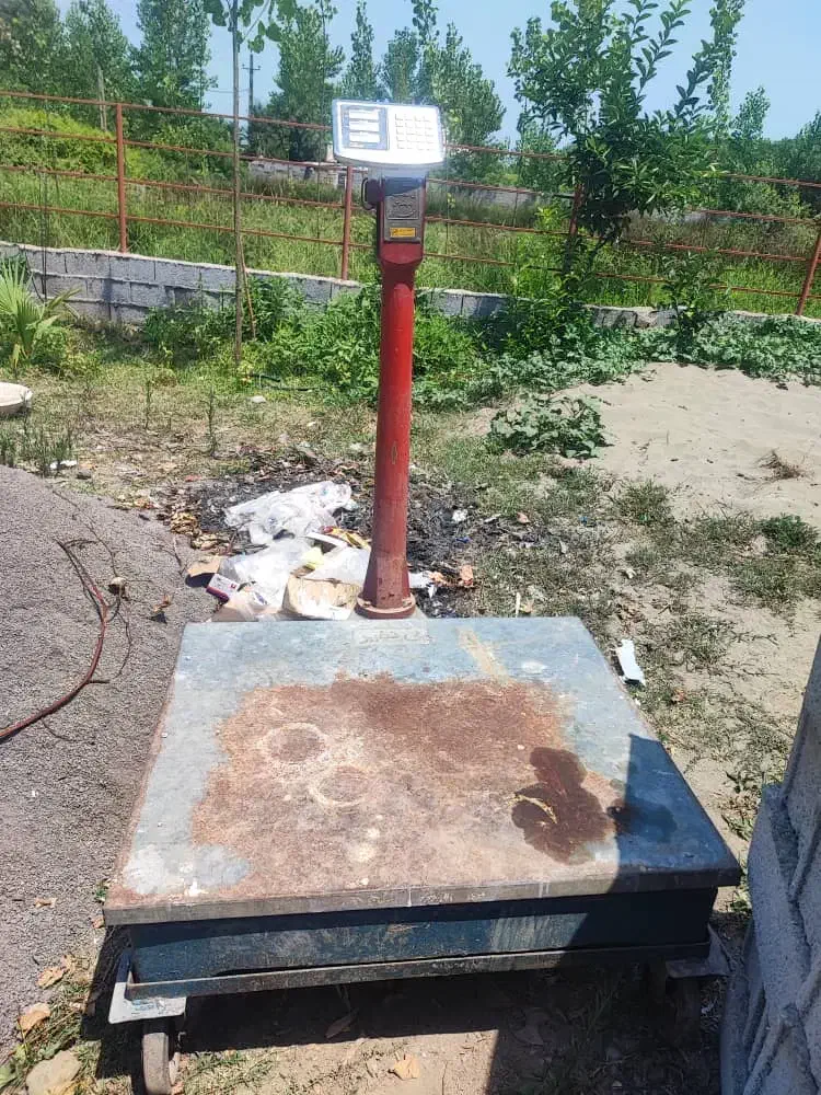 باسکول 1تنی قیمت مناسب|ابزارآلات|تولم شهر, |دیوار