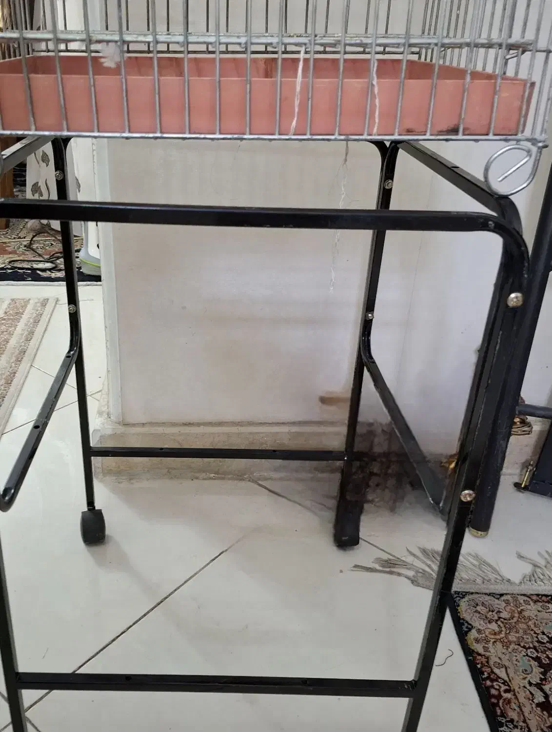 قفس پرنده بزرگ همراه با پایه بزرگ|لوازم جانبی حیوانات|اندیشه, اندیشه فاز ۳|دیوار