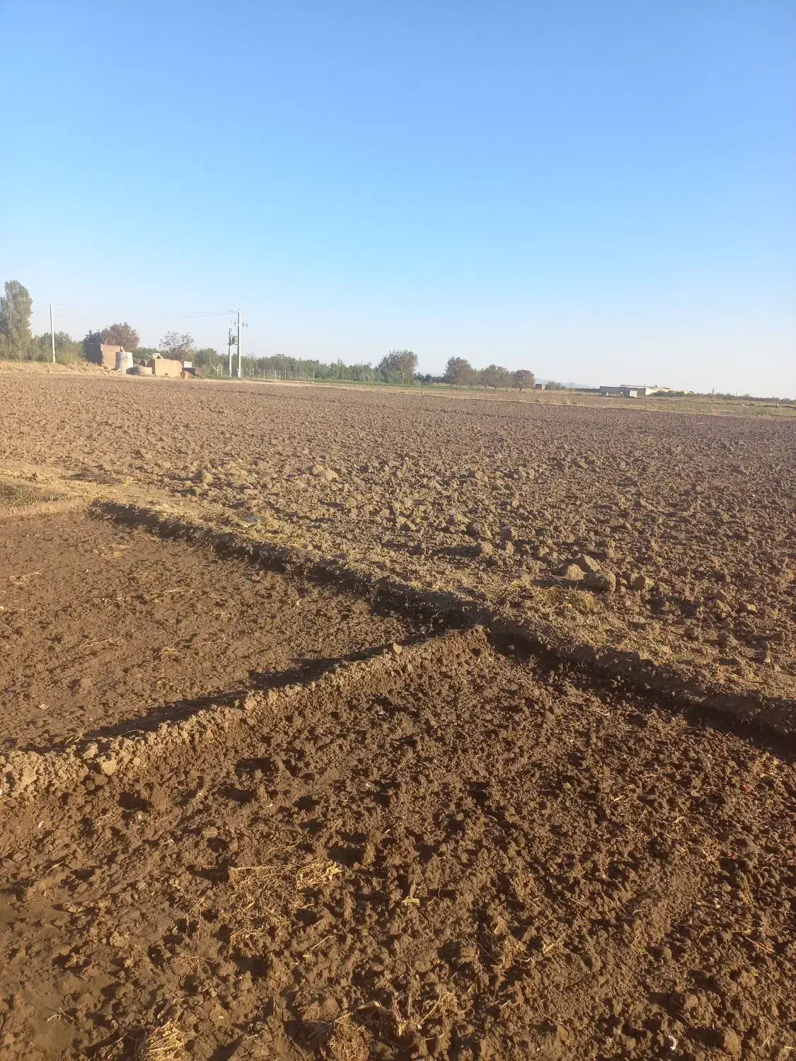 زمین زراعی|اجارهٔ دفتر صنعتی، کشاورزی، تجاری|عجب شیر, |دیوار