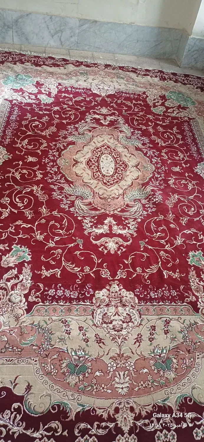 فرش ۱۲متری|فرش|زنجان, |دیوار