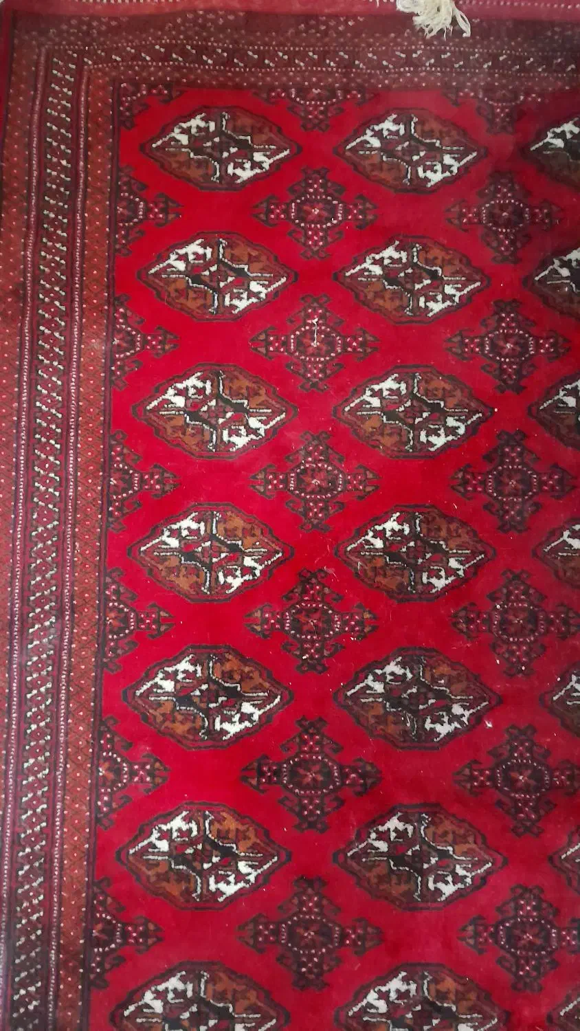 قالیچه|فرش|تهران, پردیسان|دیوار