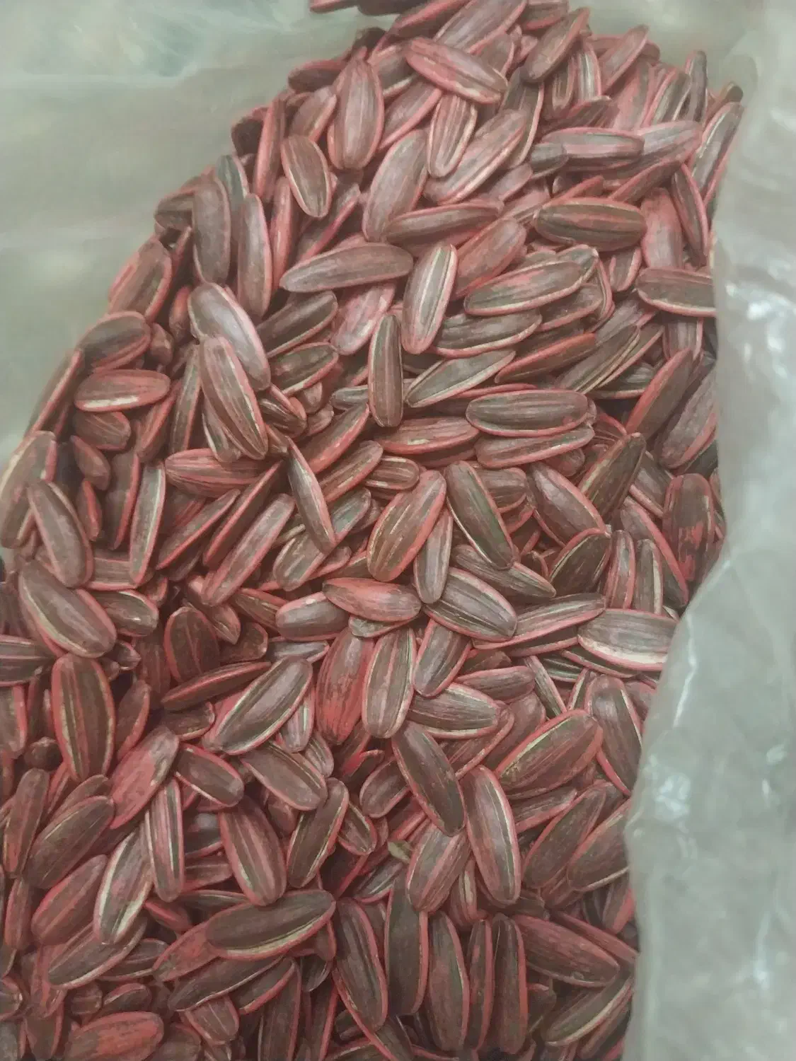 بذر تی ۵ اس ۴۰۰|گل و گیاه طبیعی|خوی, |دیوار