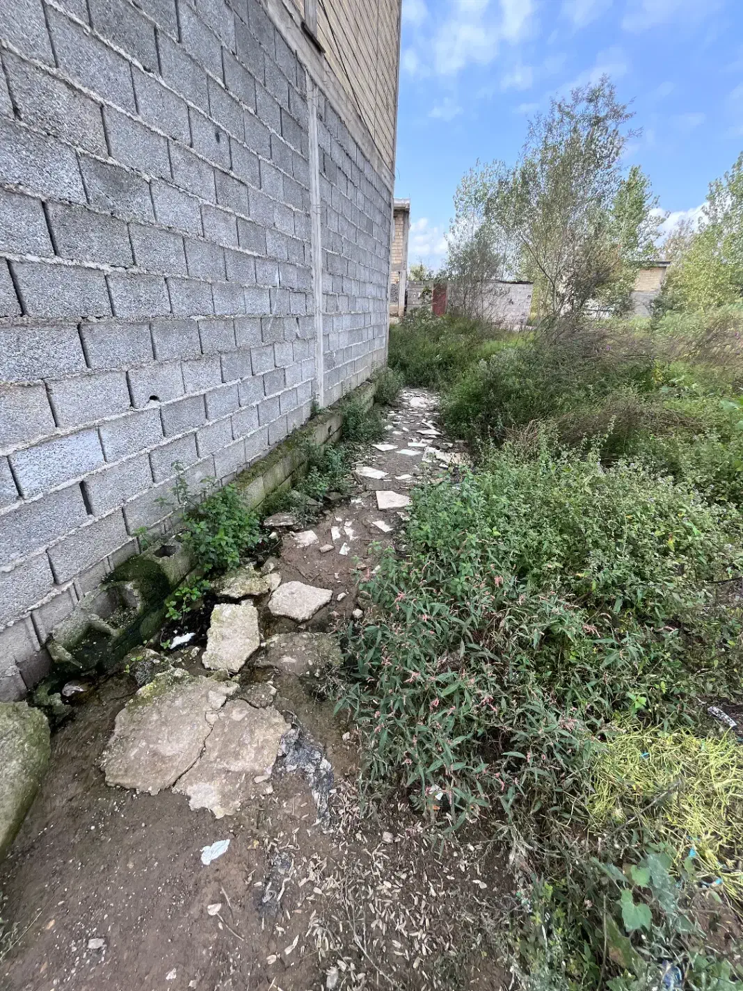 فروش زمین|فروش زمین و ملک کلنگی|رشت, حمیدیان|دیوار