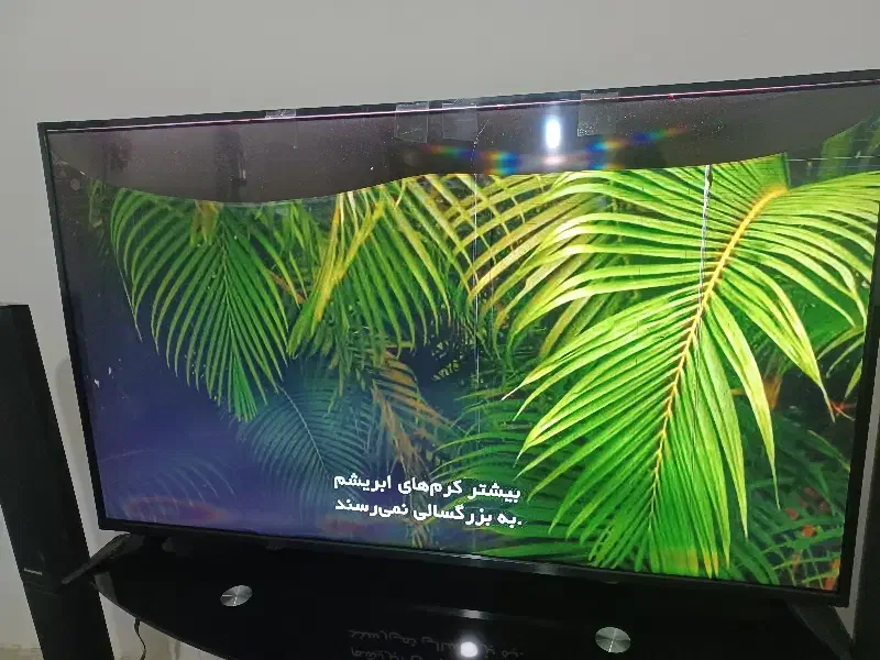 تلویزیون BLST|تلویزیون و پروژکتور|کرج, گلستان|دیوار