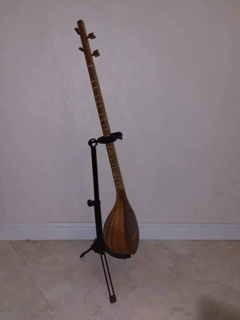 سه تار|سازهای سنتی|تهران, پیکان شهر|دیوار