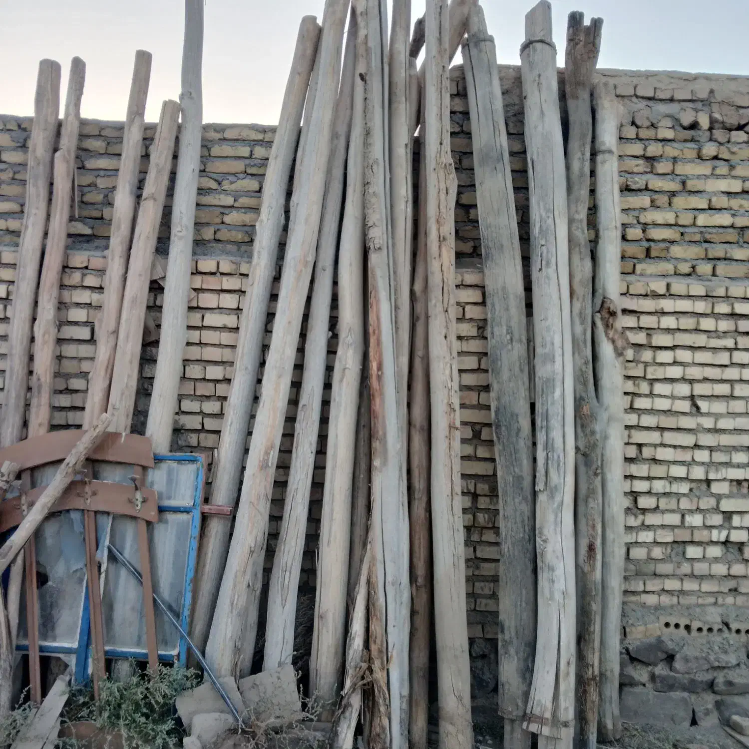 چوب ۴متری|مصالح و تجهیزات ساختمان|جلگه رخ, |دیوار