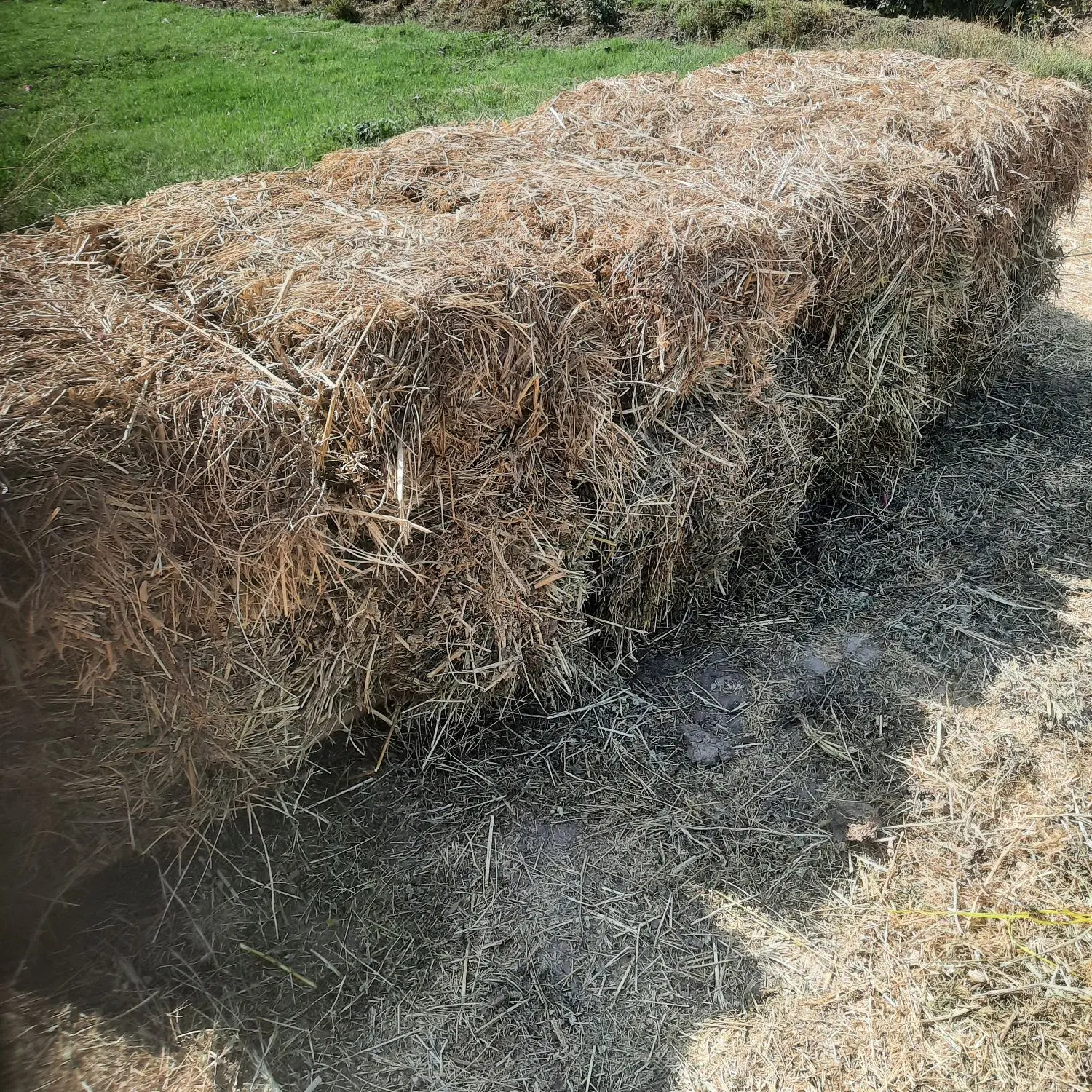 یونجه|لوازم جانبی حیوانات|الشتر, |دیوار