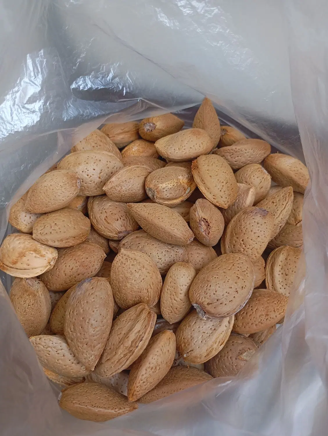بادام|خوردنی و آشامیدنی|تهران, ملک‌آباد|دیوار