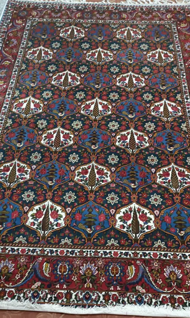 قالی خانگی  طرح سرو و کاج|فرش|شهرکرد, |دیوار