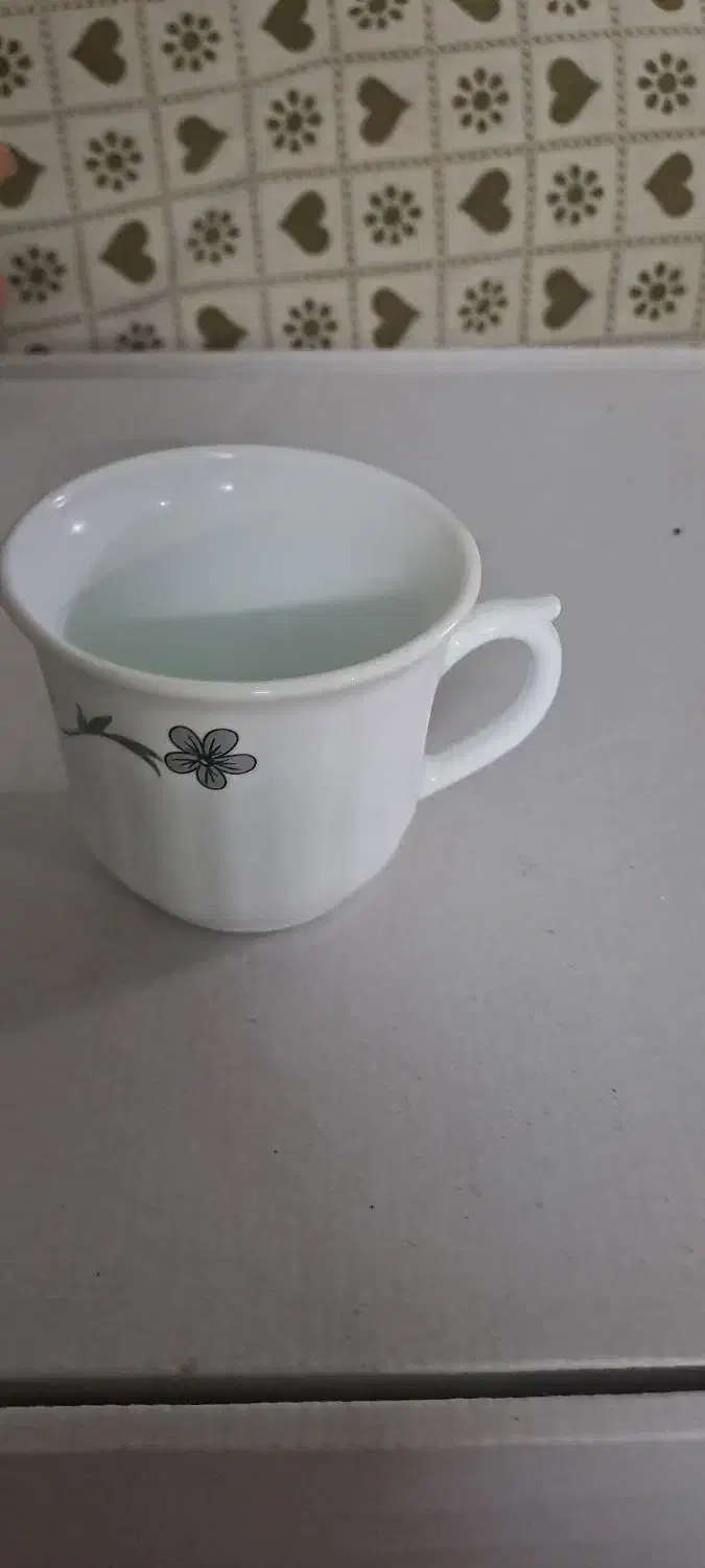 فنجون ونلبکی|ظروف سرو و پذیرایی|قم, قلعه کامکار|دیوار