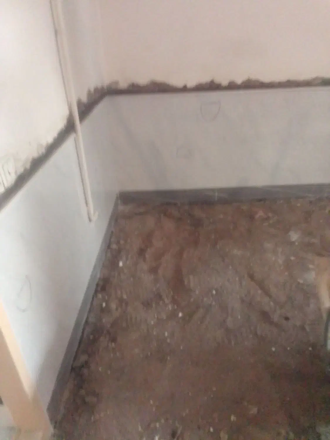 کاشیکاری مزایک پزیرفته میشود|خدمات پیشه و مهارت|نیشابور, ناسیونال|دیوار