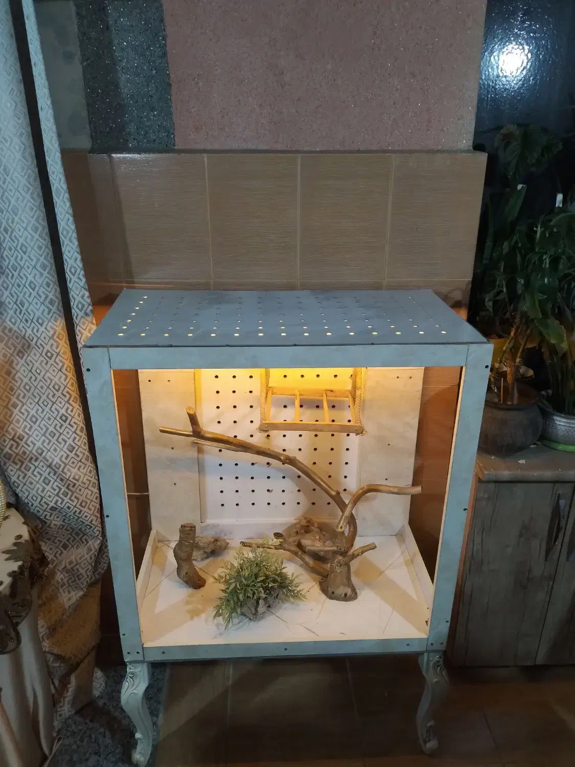 خونه پرنده|لوازم جانبی حیوانات|ارومیه, |دیوار