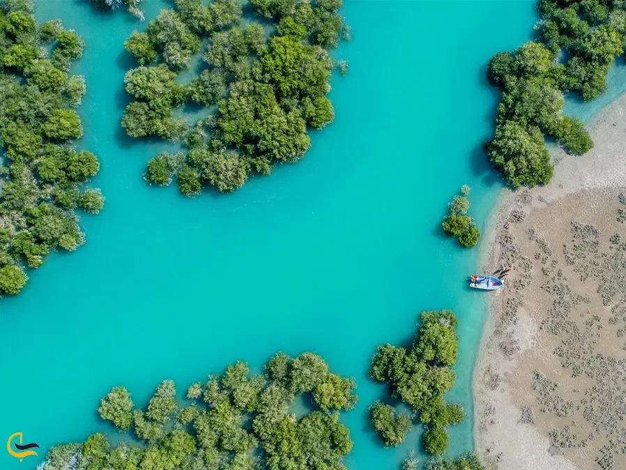 گشت جزیره قشم|تور و چارتر|قشم, |دیوار