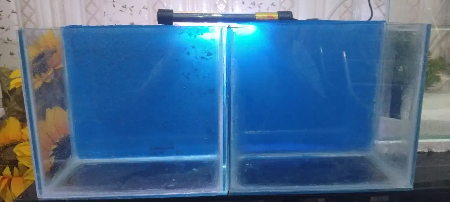 آکواریوم دست ساز عالیه|ماهی|خرمشهر, |دیوار
