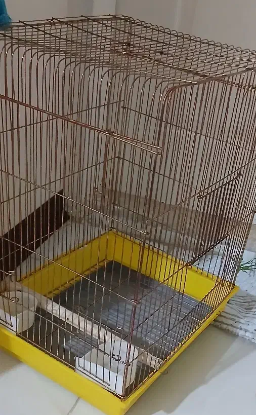 قفس نو|لوازم جانبی حیوانات|کرج, باغستان|دیوار
