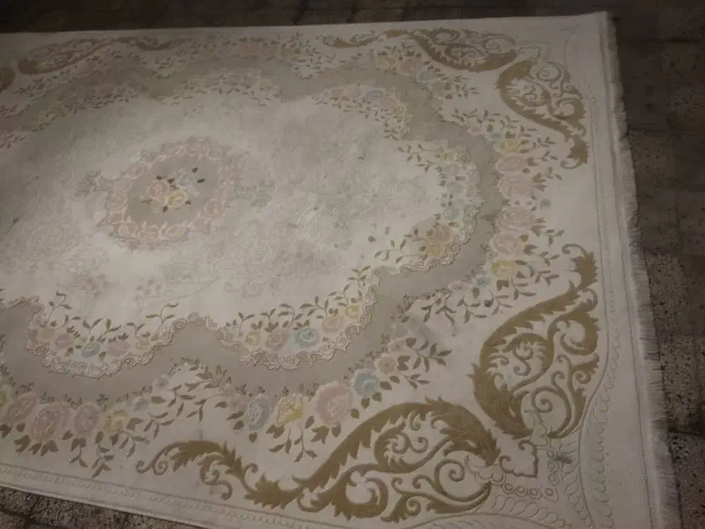 فرش 9متری|فرش|شیراز, اصلاحنژاد|دیوار