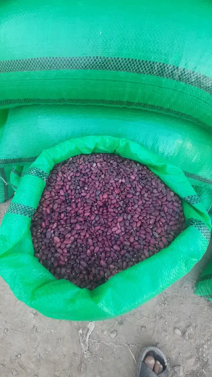 لوبیا درجه یک|عمده‌فروشی|قیدار, |دیوار